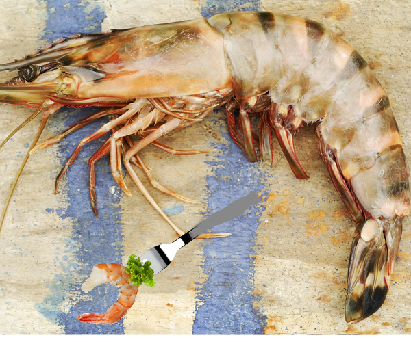 Invasion Of The Giant Shrimp Rattles Gulf Coast Diners